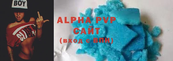 амф Горняк